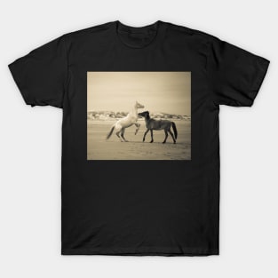 Wild Horses of Cumberland Island 2 T-Shirt